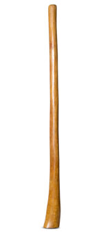 Gloss Finish Flared Didgeridoo (TW1118)